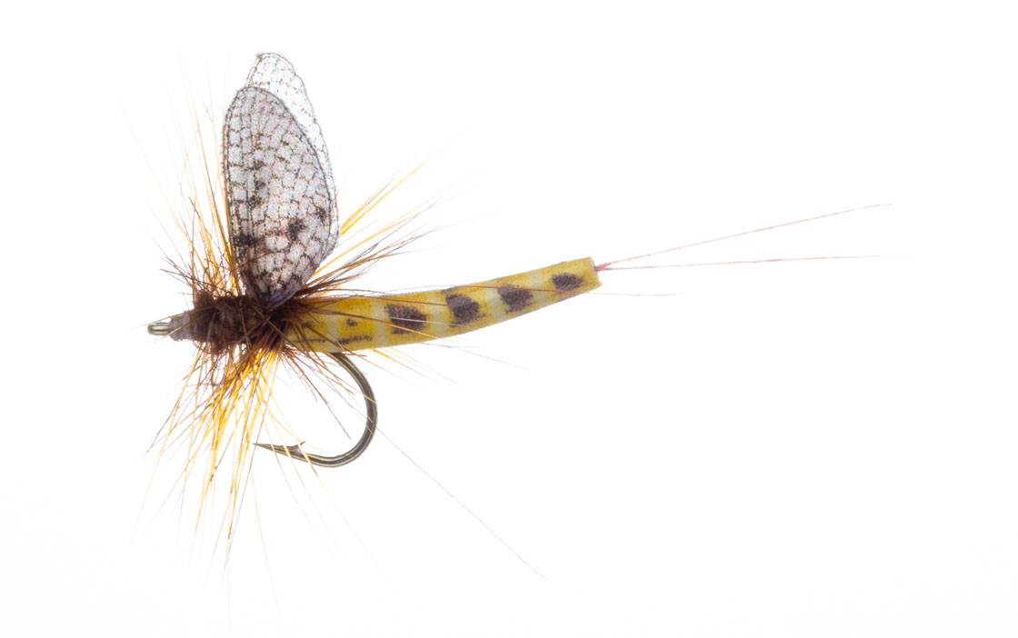Vania Realistic Mayfly Danica SP