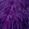 white dyed purple