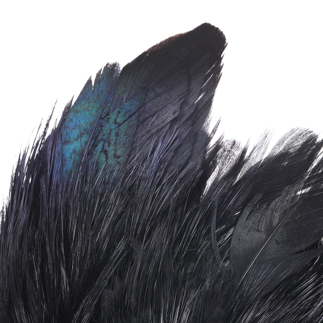 P-25394_Whiting-Coq-de-Leon-Mayfly-Tailing-Pack_detail-3