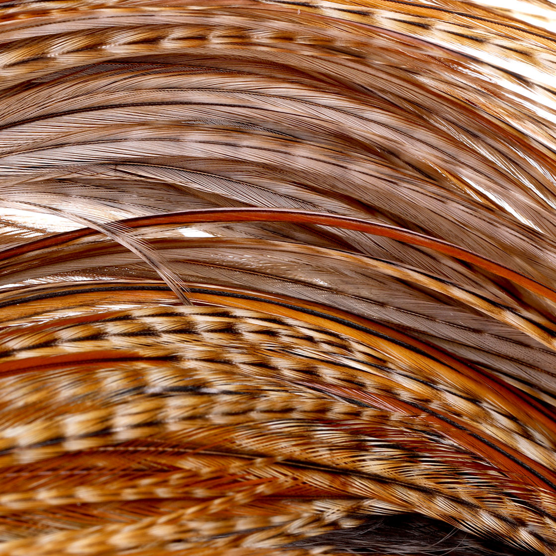 P-25433_Whiting-Silver-Cape_detail_1