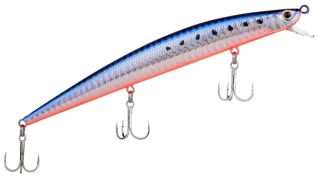 Mazume Sardine