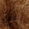brown sparkle
