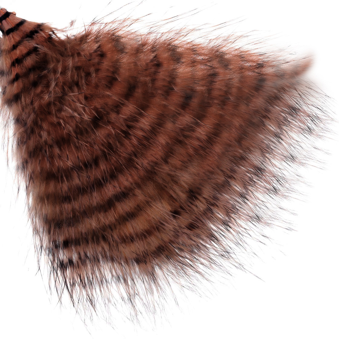 brown/barred black