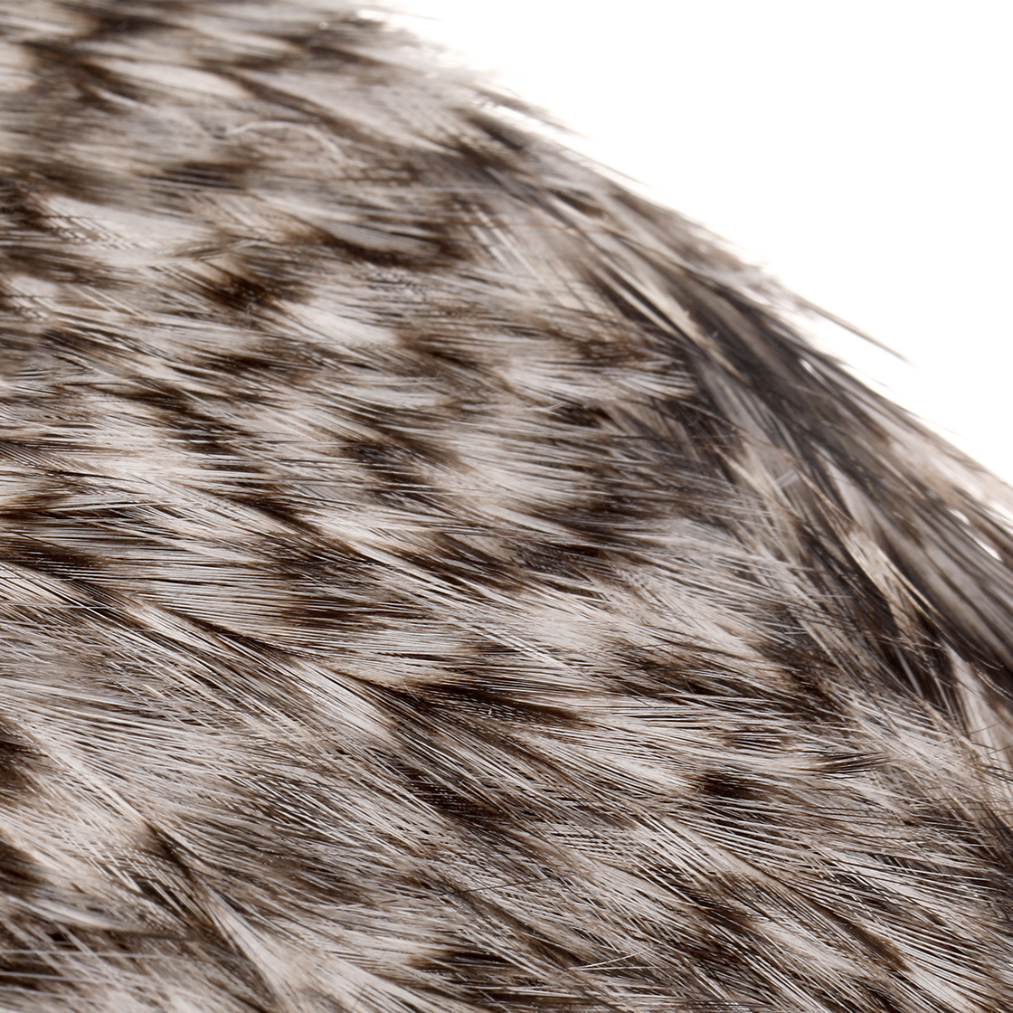 P-29304_Future-Fly-Coq-de-Leon-Rooster-Cape-grizzly-nature_detail-1