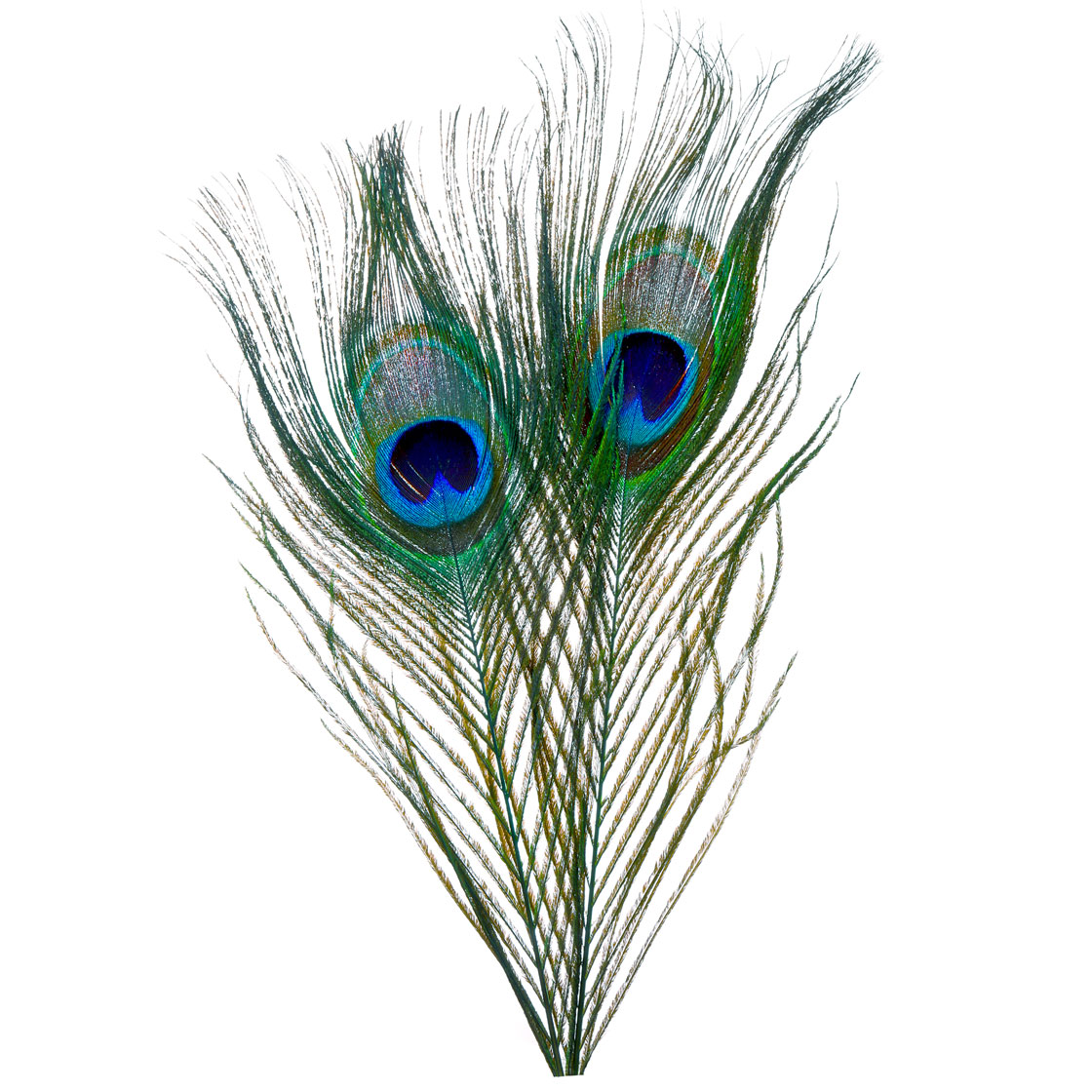 hot orange in flames