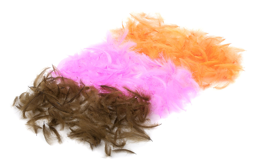 cdc_feathers_title_3