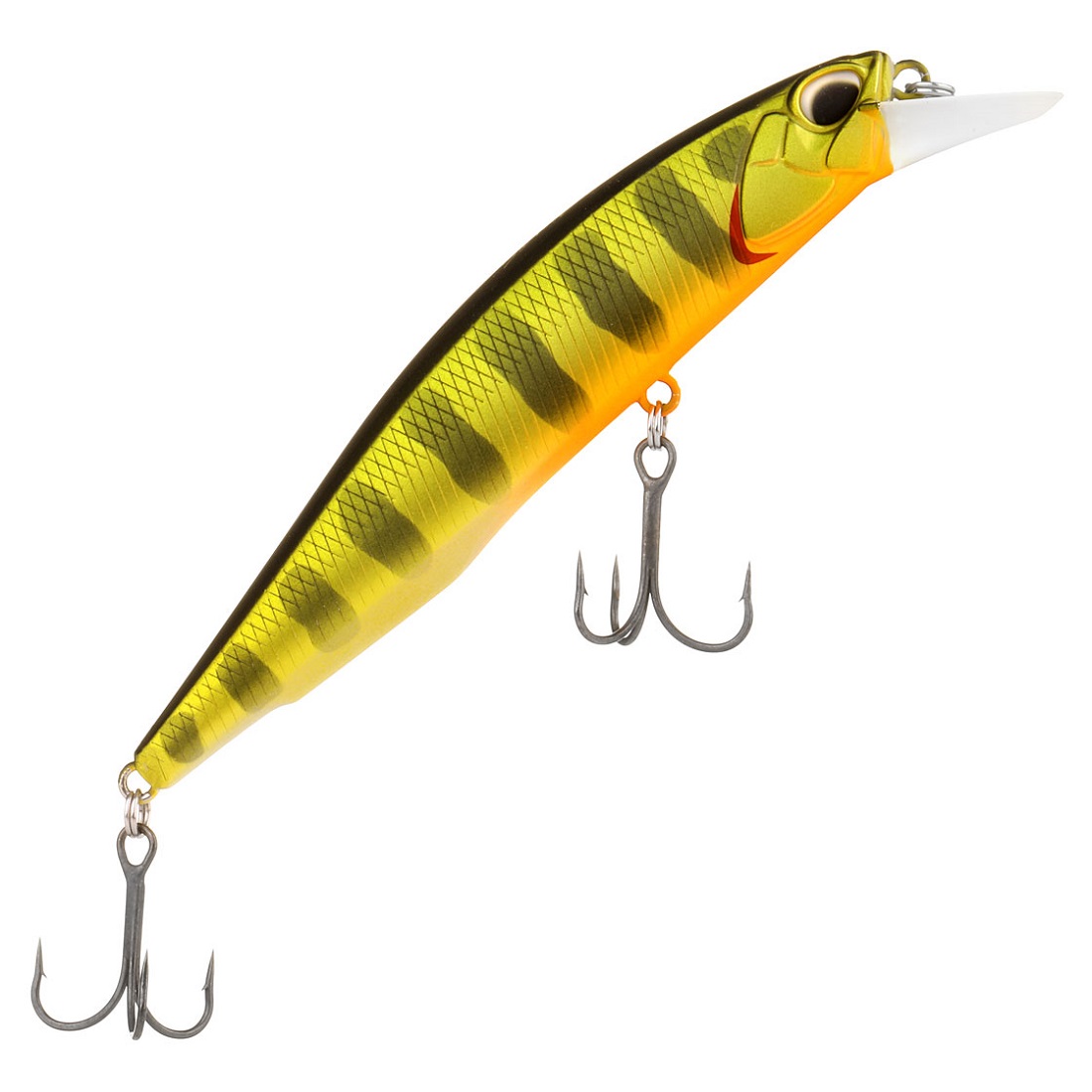 Gold Perch