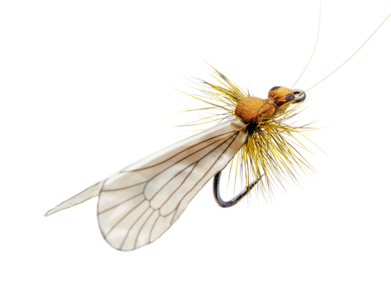 json-realistic_caddis-adult-1-cinnamon-brown