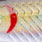 green sardine