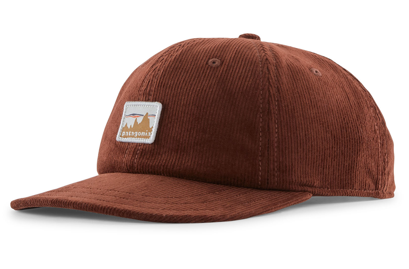 Patagonia Corduroy Cap SKVL