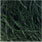 dark olive