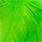 highlander green