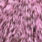 grizzly shell pink