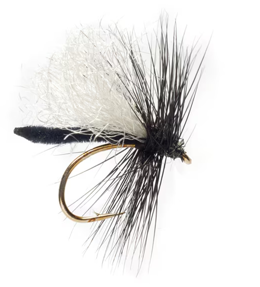 P-29071_Fulling_Mill_Jackies_Duckfly_Palomino_BLack_ Fulling Mill Technical Dryfly Jackie's Hackled Palomino Duckfly Dry Fly