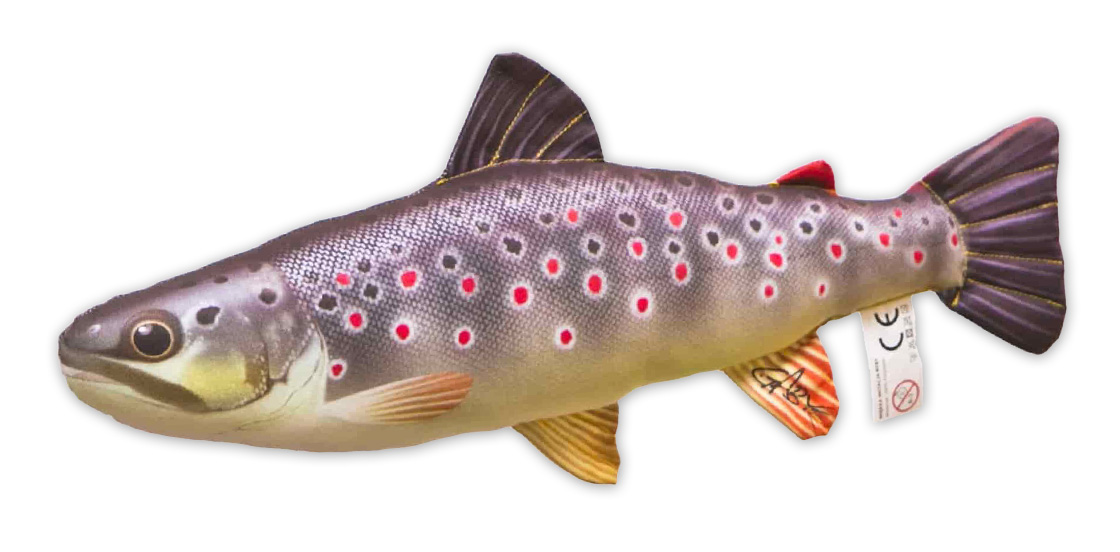 P-29166_Fischkissen_Kuscheltier_Bachforelle_35cm_ganz Fish Pillow Soft Toy Brown Trout 35cm