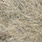 26 grey olive