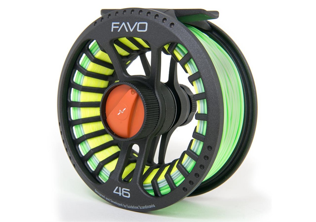 Guideline_FAVO_5