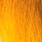 sunburst yellow