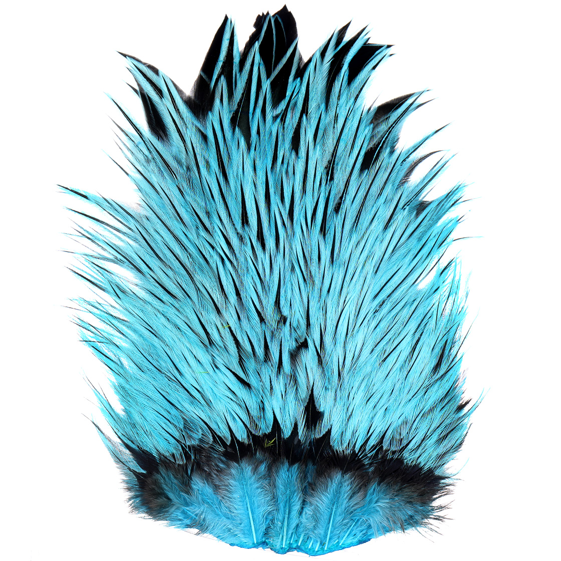 badger silver dr blue