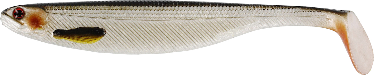 lively roach