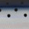 dotted sardine