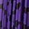 barred purple black