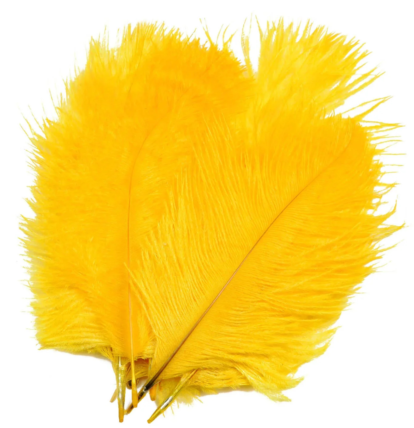 sunburst yellow