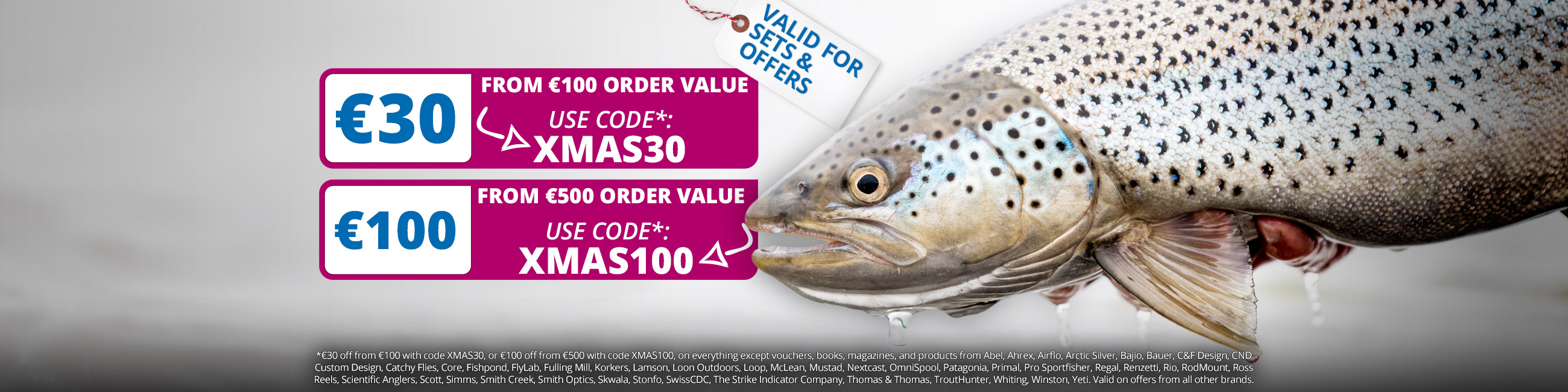 Two Voucher Codes: XMAS30 & XMAS100