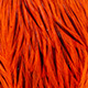 badger dyed orange