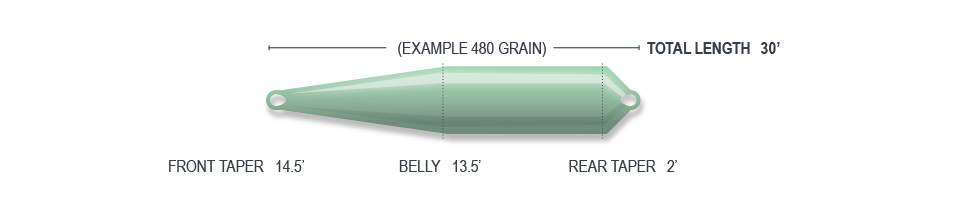 P-12612_Airflo_Rage_Compact_Taper
