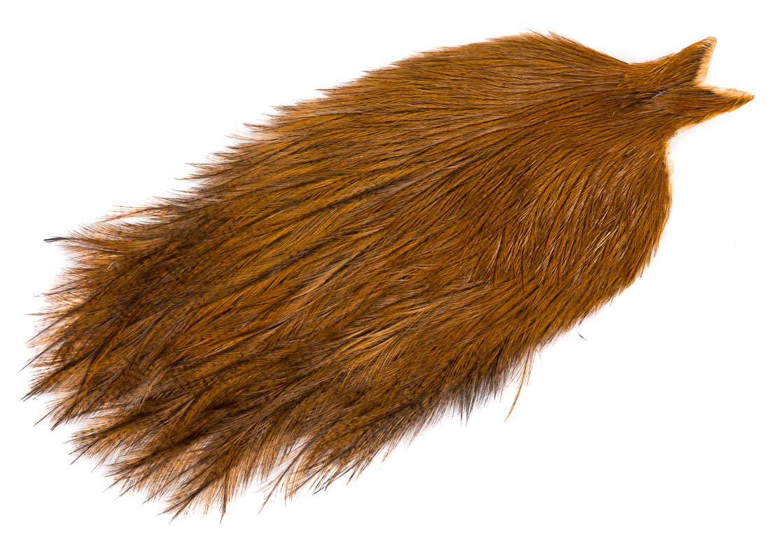 medium ginger