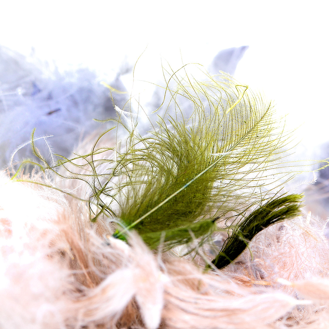 06068-SwissCDC-CDC-Puffs-titel