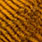 005 sunburst/brown/barrows