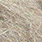 26 grey olive