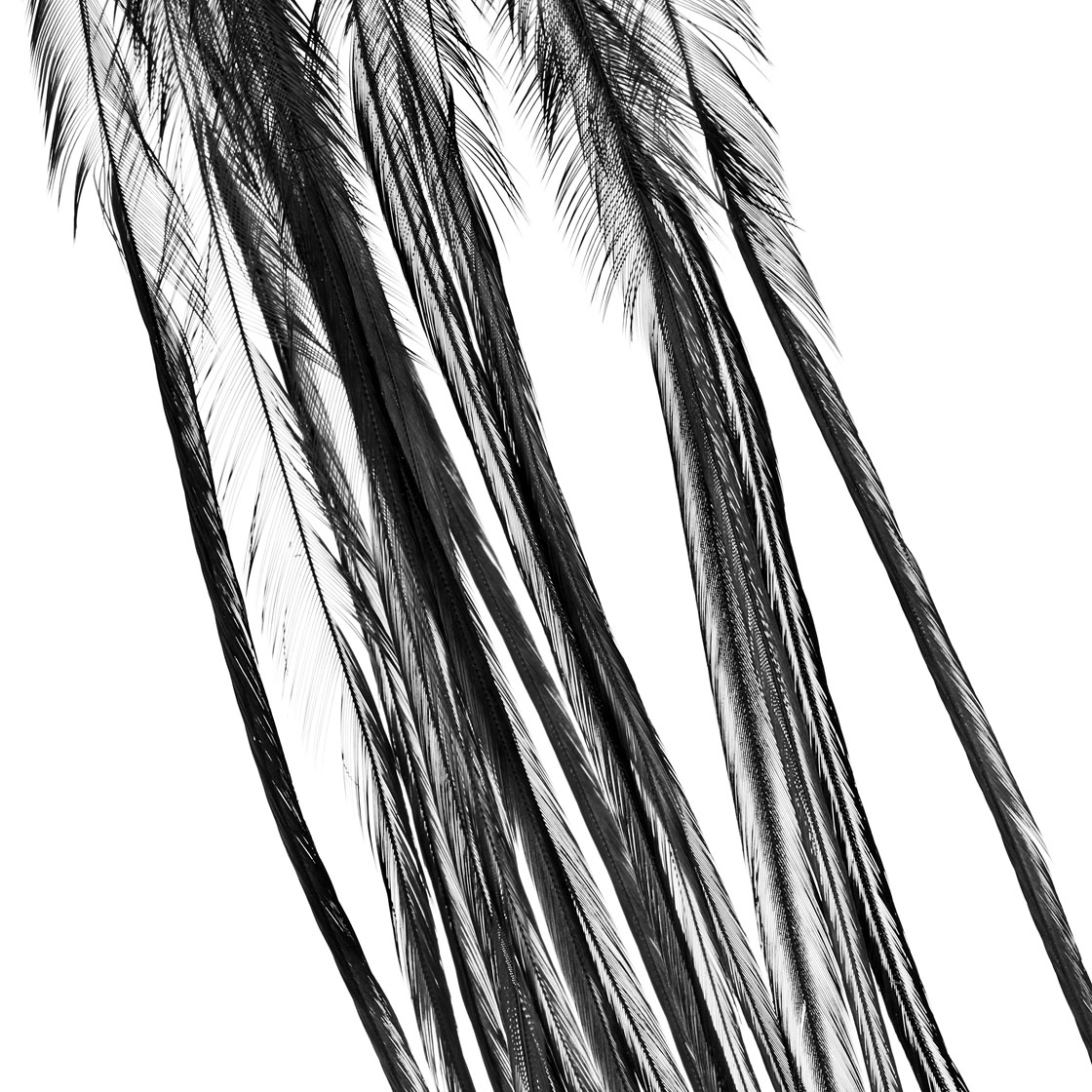 P-25410_Whiting-100-Pk-Size-14_black