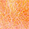 fluo shell pink
