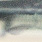 stichling