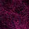 claret