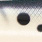 LO 0102