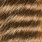 ginger black barred