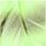 chartreuse