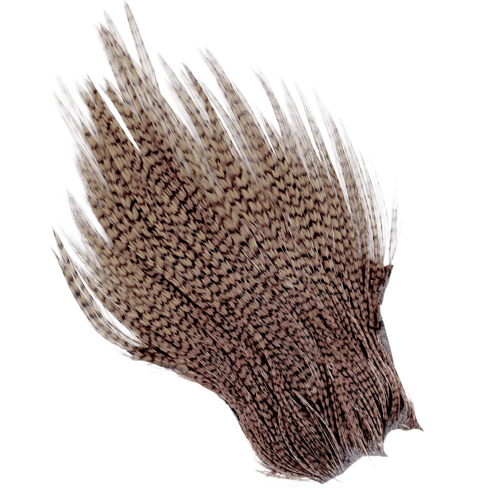 Wapsi Ewing Neck Tip Grizzly Premium Quality