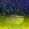 purple rave