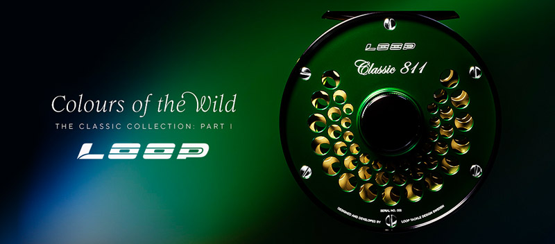 NEW by LOOP: Colours of the Wild Reels