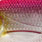 pink headlight