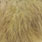 white dyed golden olive