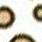 Clear base/Tan dots