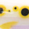 DM 0214 yellow dots