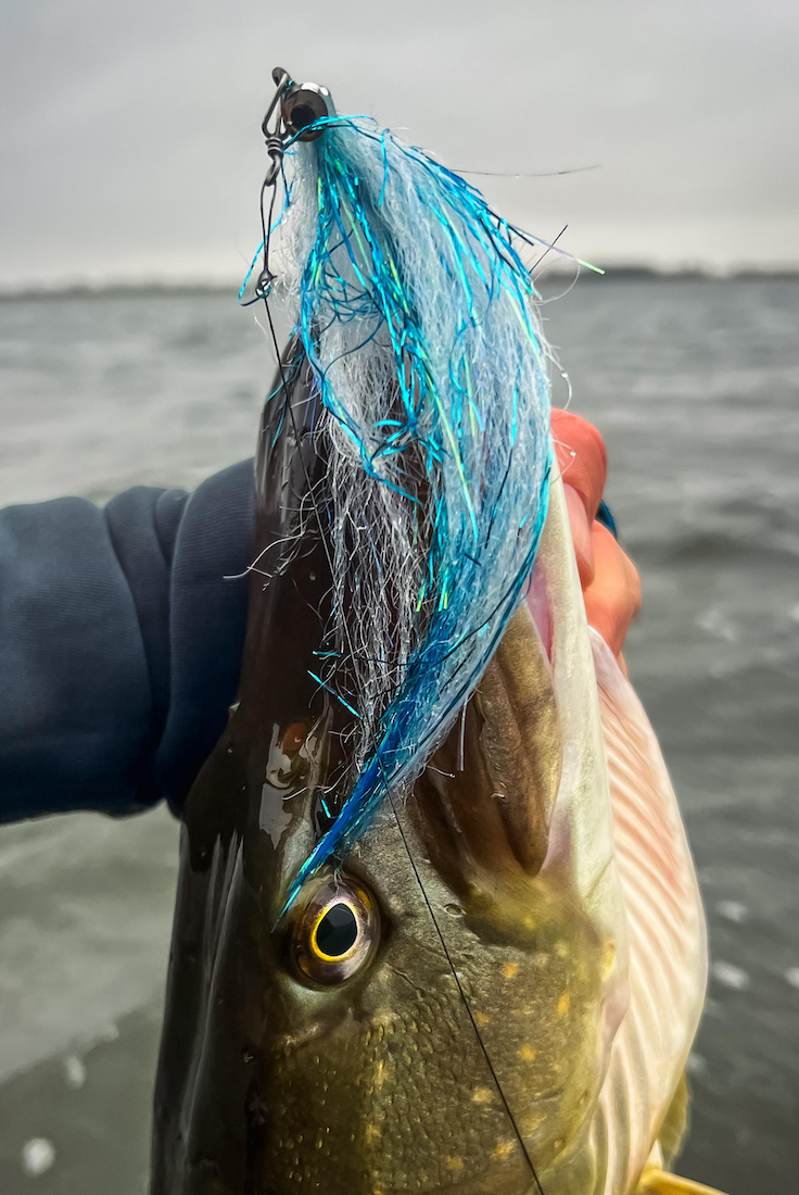 P-24869_adh-Fishing_Hechtstreamer_Baitfish_Blue_