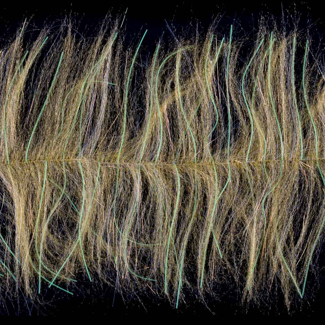 light olive & chartreuse